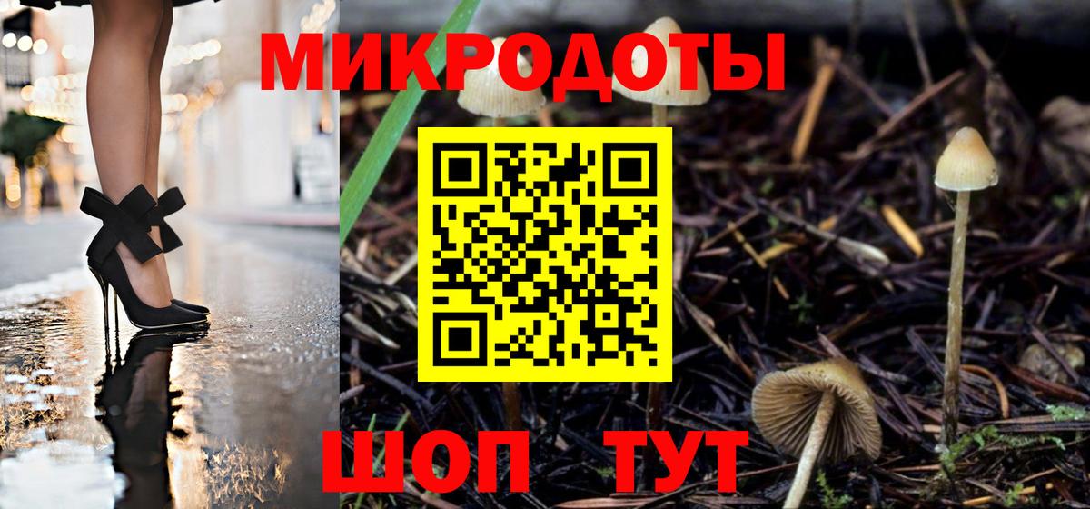 Галлюциногенные грибы прущие грибы Шатура